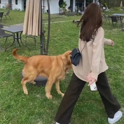 彩虹飞仙
